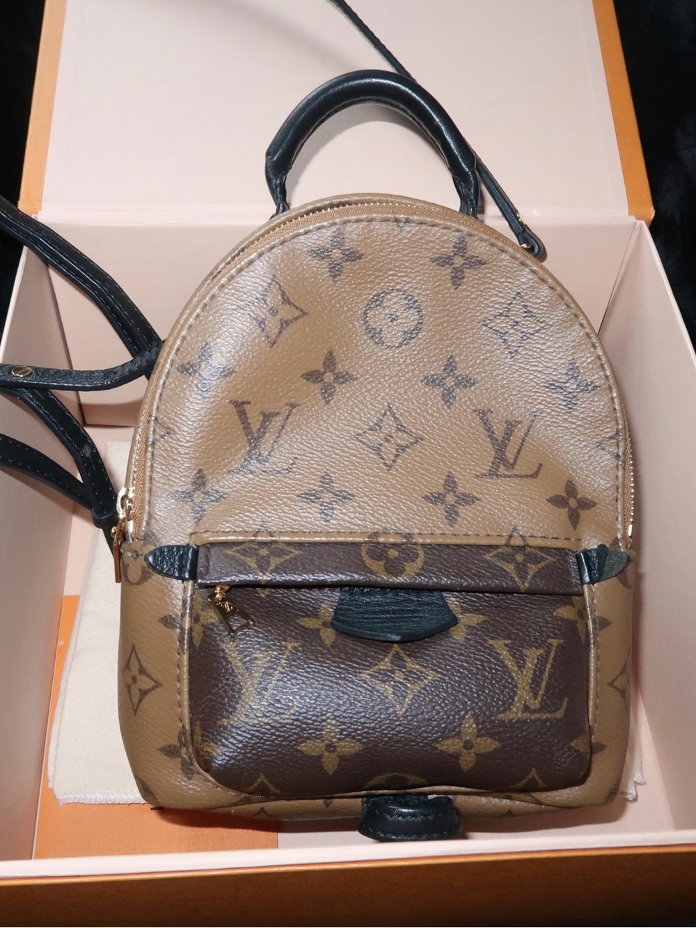 Louis Vuitton Monogram Mini Backpack in Brown and Black